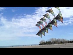 Light Hearted Kites