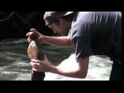 ROCK SCULPTURE ON THE BOULDER CREEK
