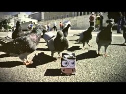 ΦΑΓΕ Αγελαδίτσα "Say Μoo"